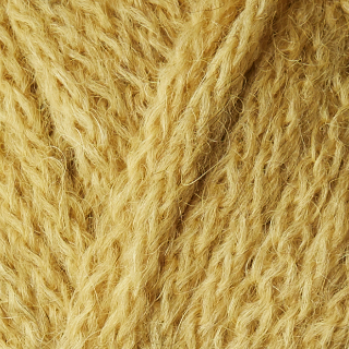 Alpaca 3